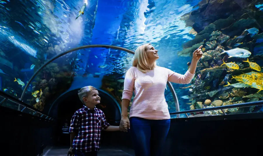 AquaFoz — acuario de Foz do Iguaçu, Brasil