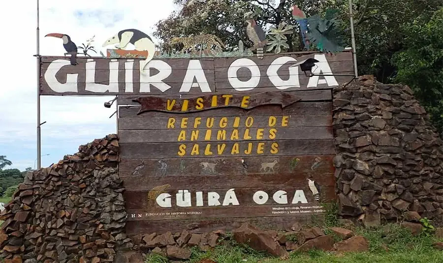 Güira Oga — centro de rescate y rehabilitación de fauna nativa en Puerto Iguazú