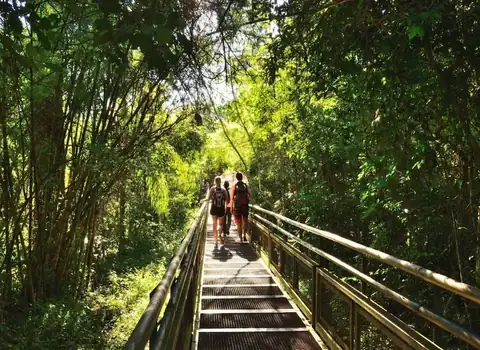 Transfer privado a Cataratas del Iguazú desde Puerto Iguazú
